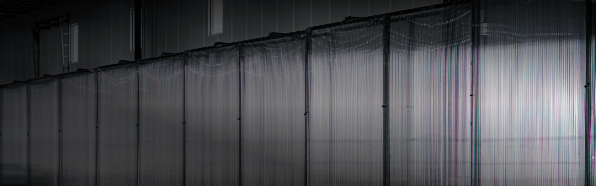 /governance/management-team